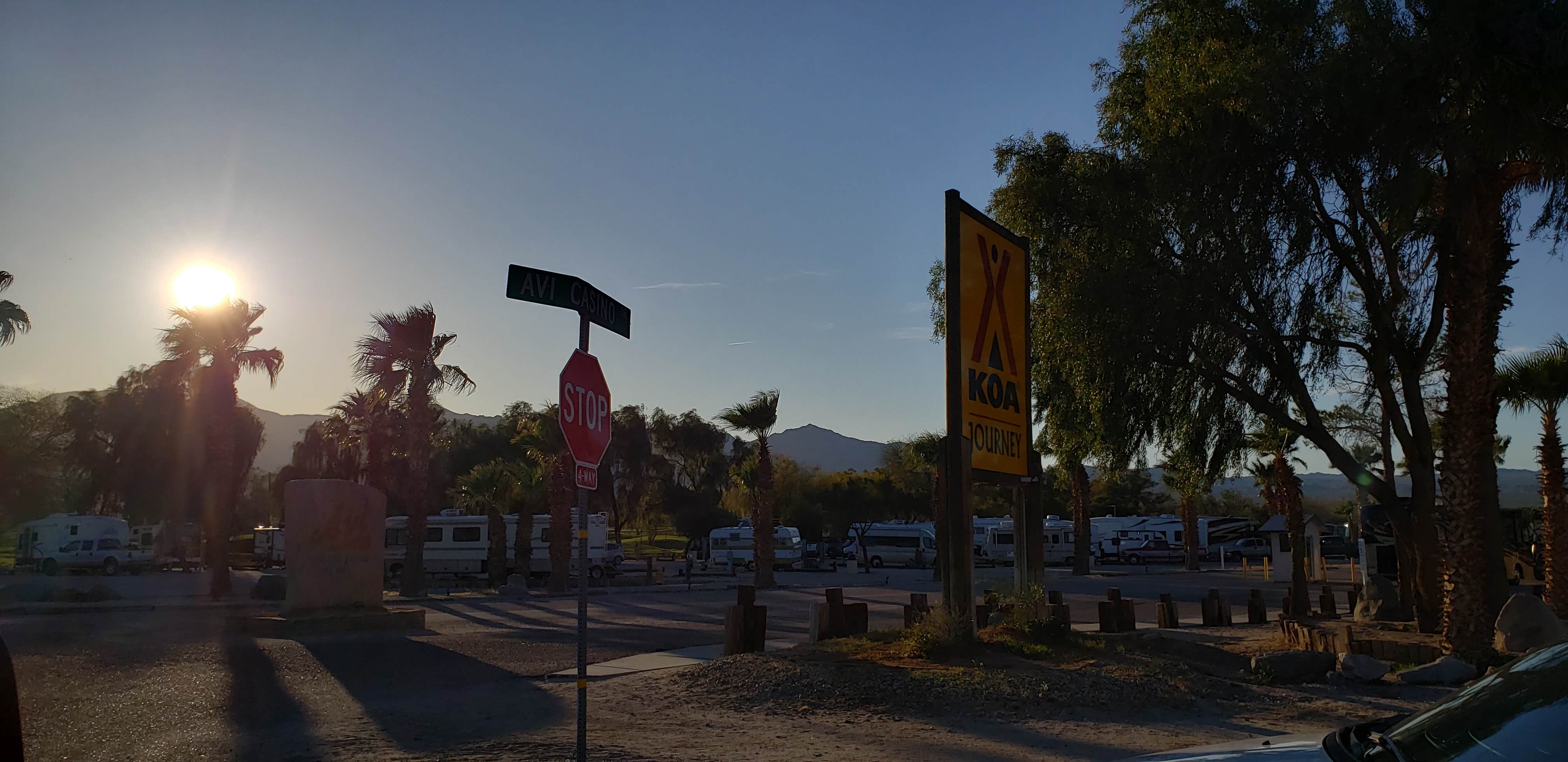 Camper submitted image from Laughlin Avi KOA / Journey - 5