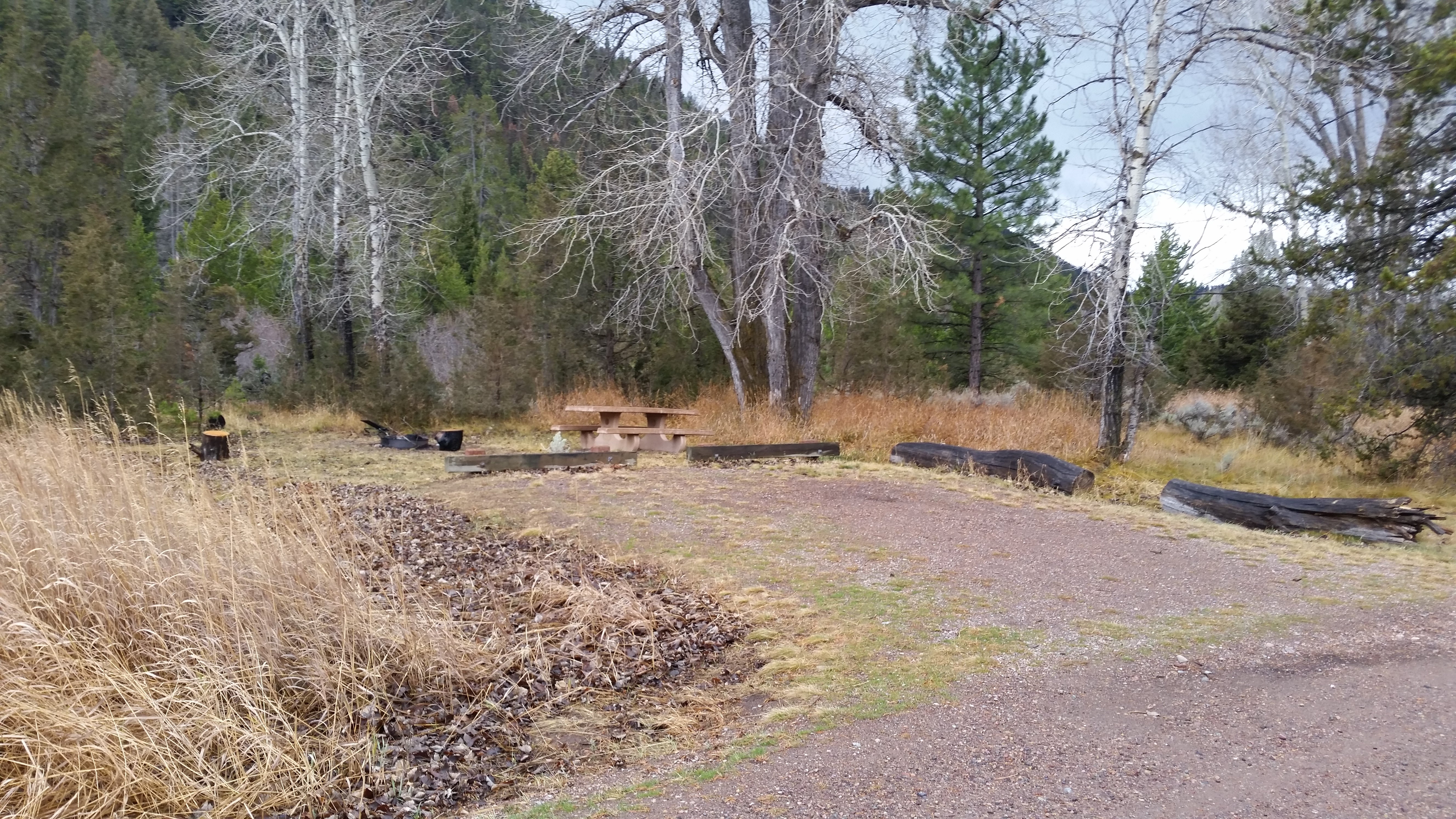 Camper submitted image from Aspen Grove Group Use Area (helena-lewis and Clark Nf, Mt) - 4