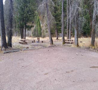 Camper-submitted photo from Aspen Grove Group Use Area (helena-lewis and Clark Nf, Mt)