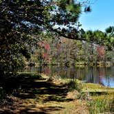 Review photo of Cabin Lake County Park by Myron C., April 6, 2019