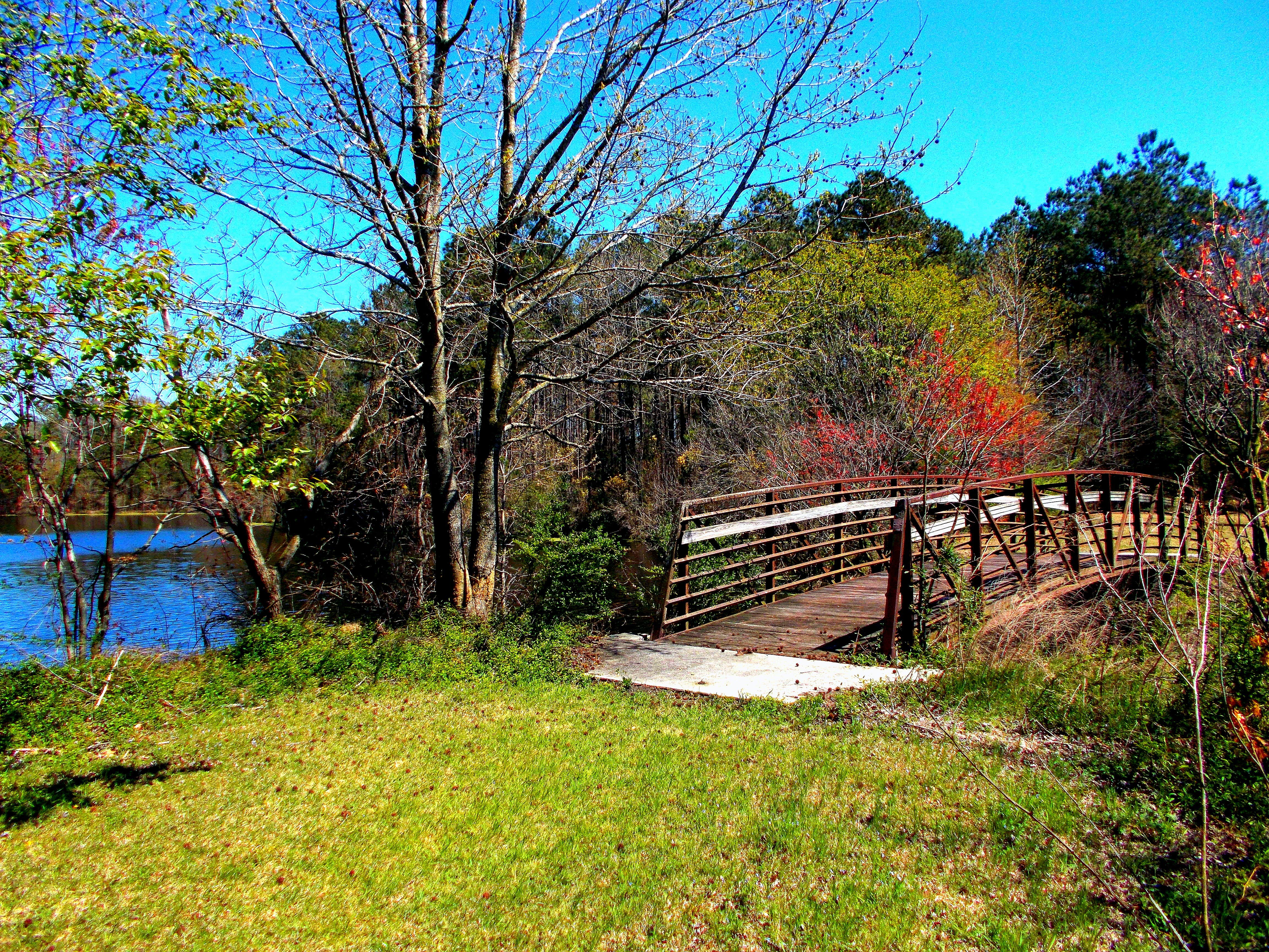 Camper submitted image from Cabin Lake County Park - 1