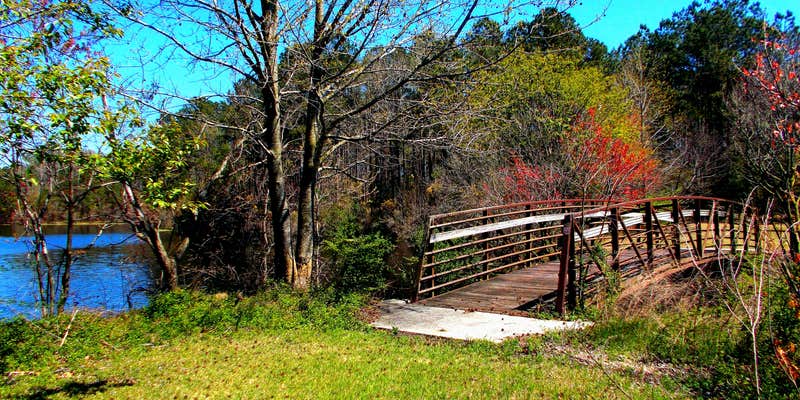 Camper submitted image from Cabin Lake County Park