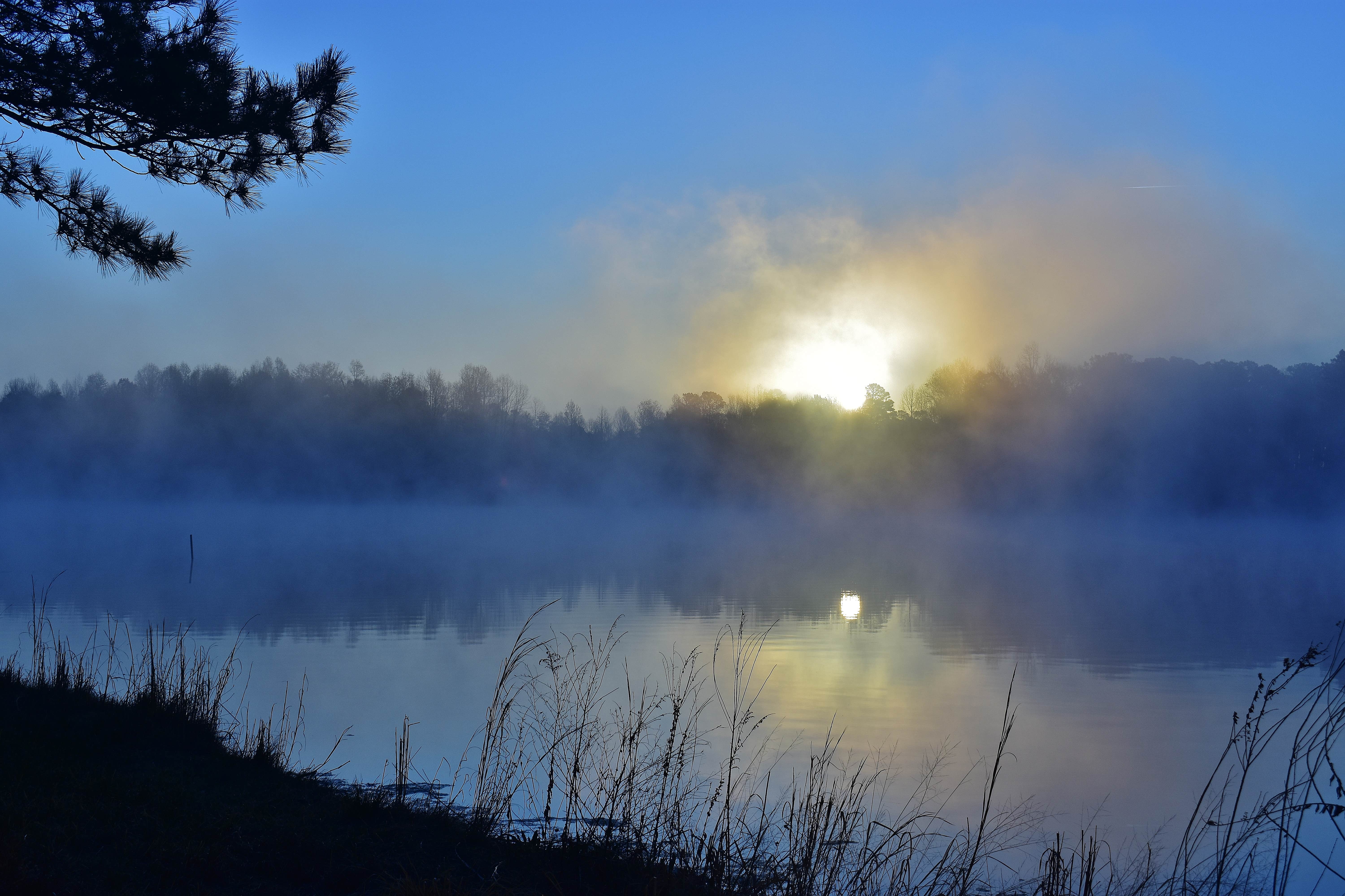Camper-submitted photo at Cabin Lake County Park near Kinston, NC