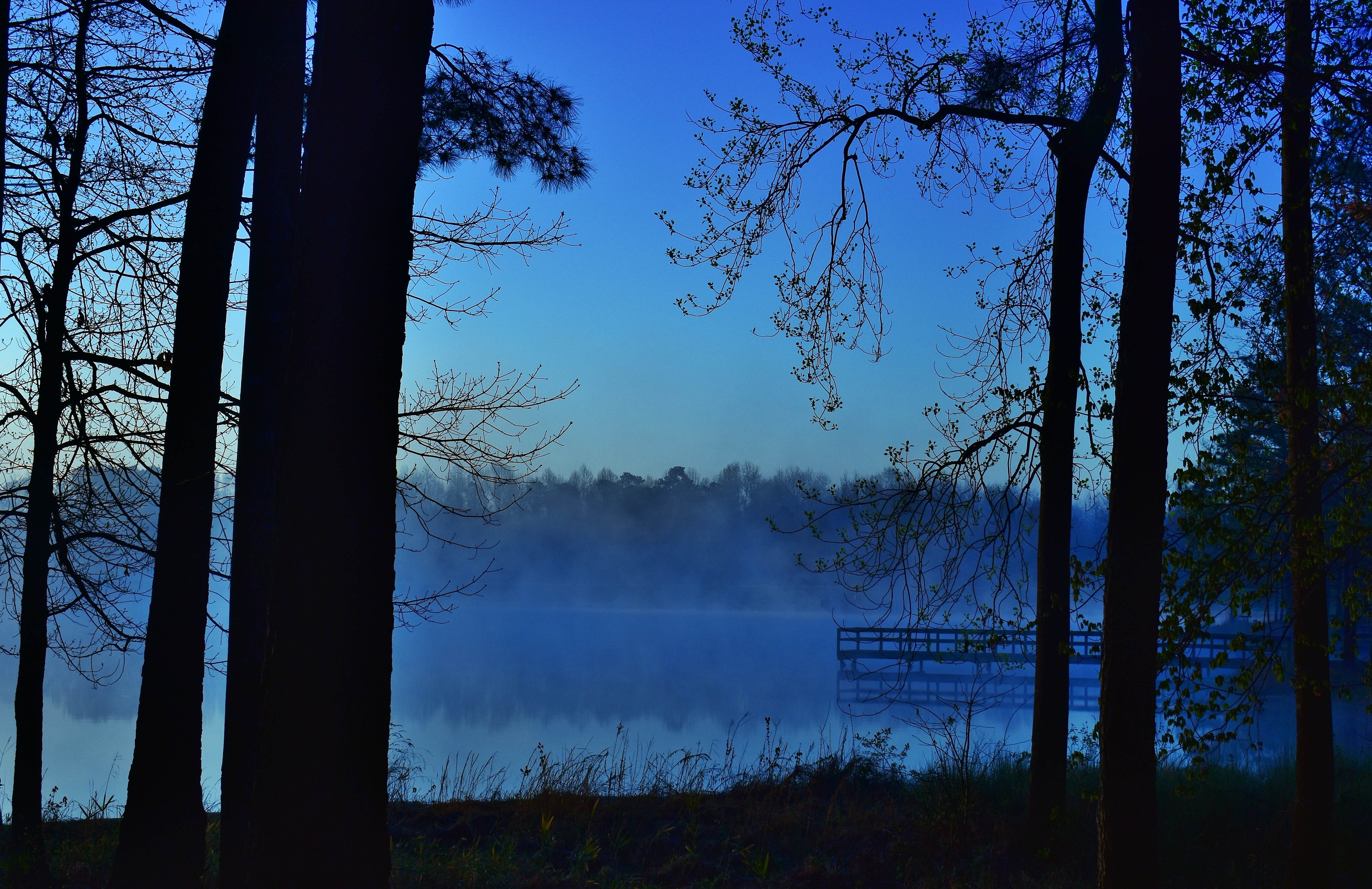 Camper-submitted photo at Cabin Lake County Park near Kinston, NC