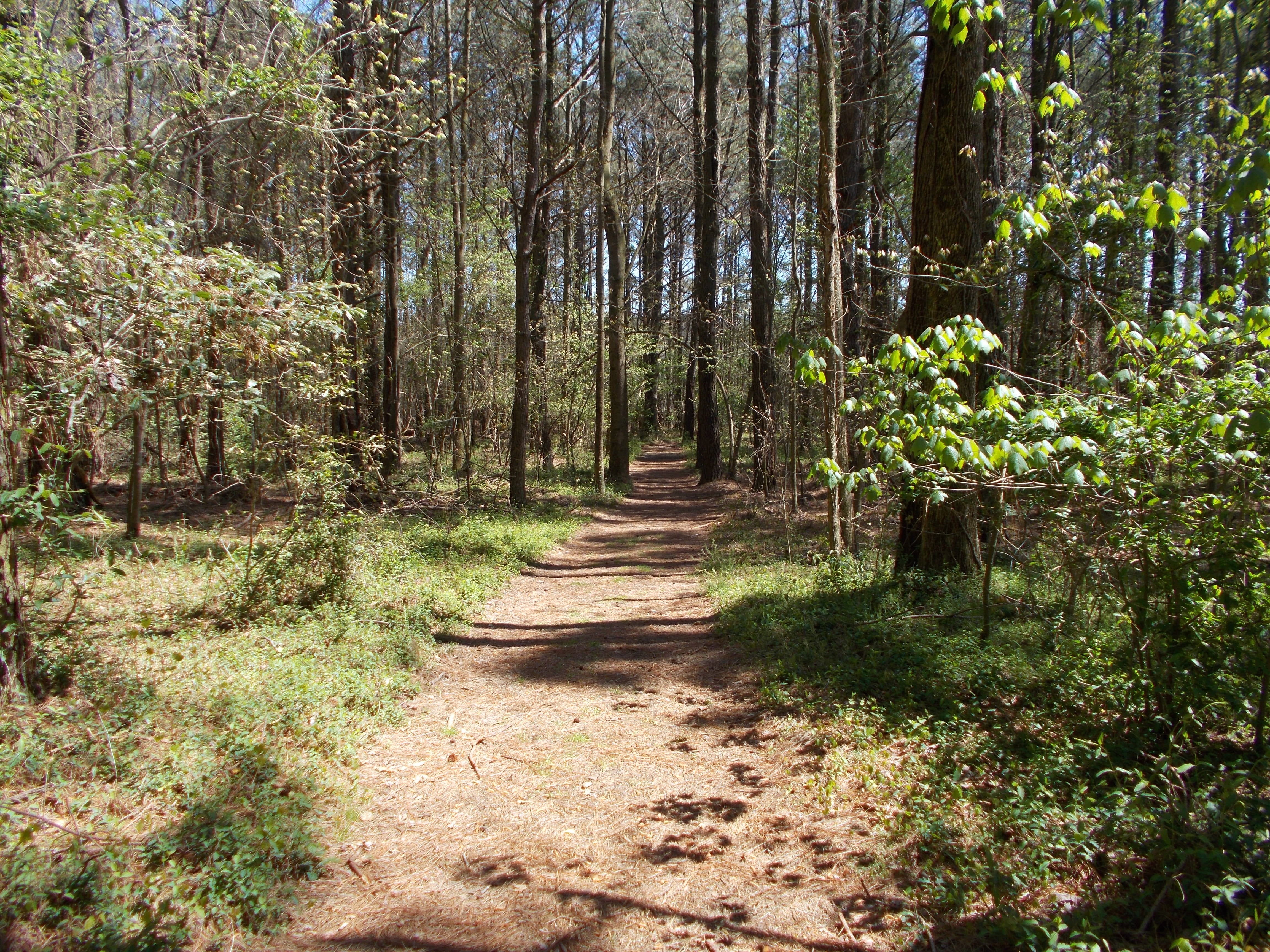 There is no reason to get lost on the trail since it is wide and well-marked, although there are some muddy sections.