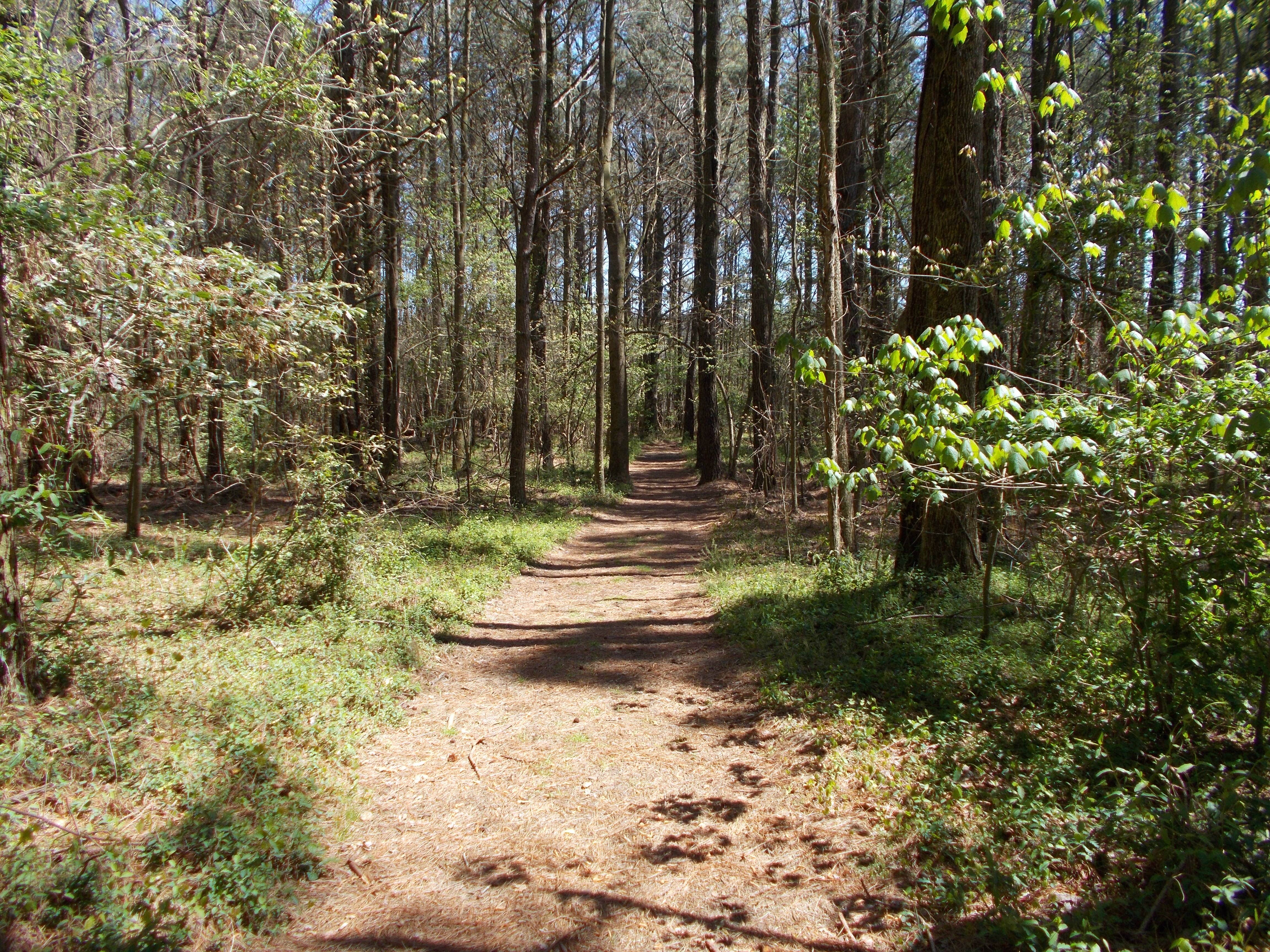 Camper submitted image from Cabin Lake County Park - 4