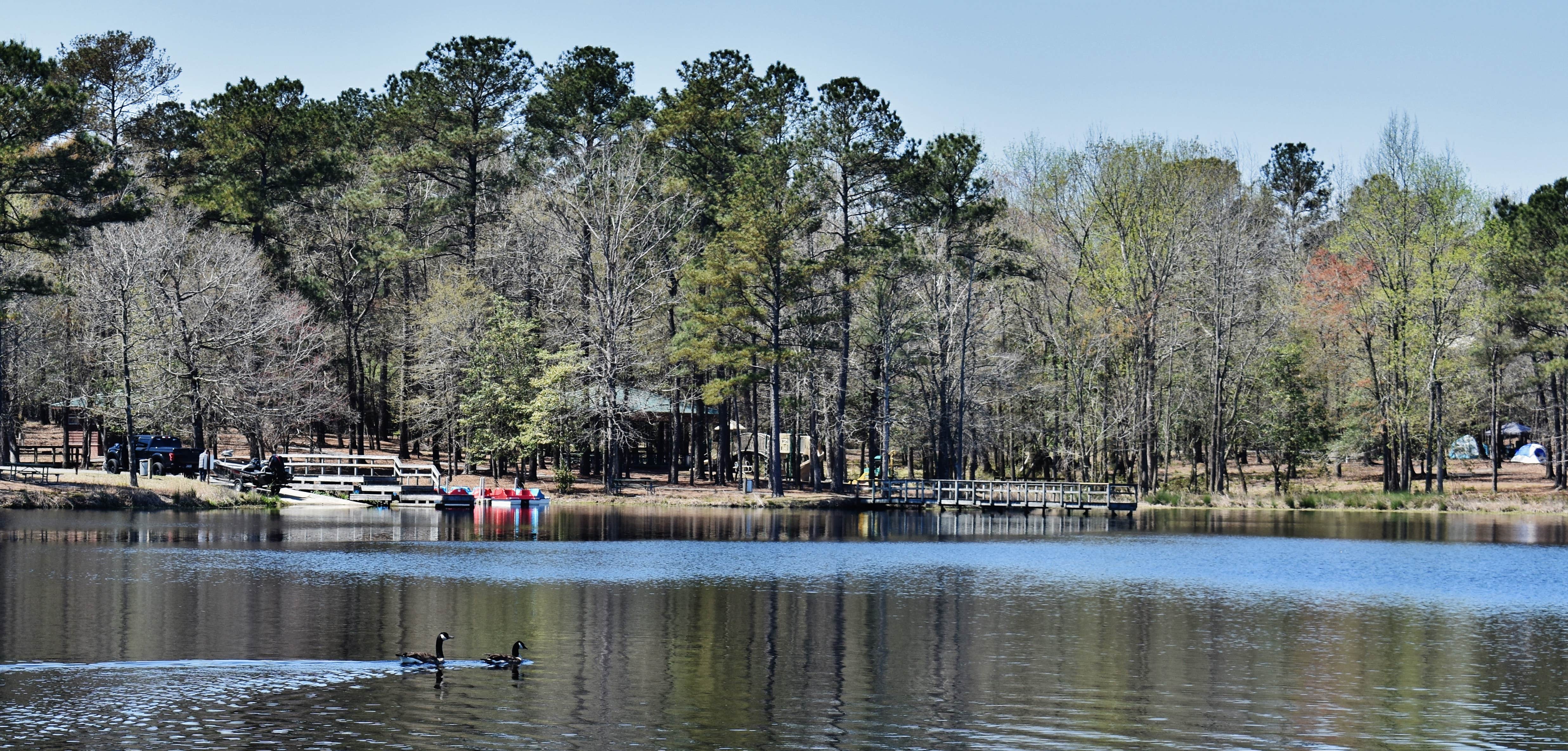 From across the lake you can see the boat ramp, rental peddle boats and canoes, the picnic shelter, and our tents to the far right.