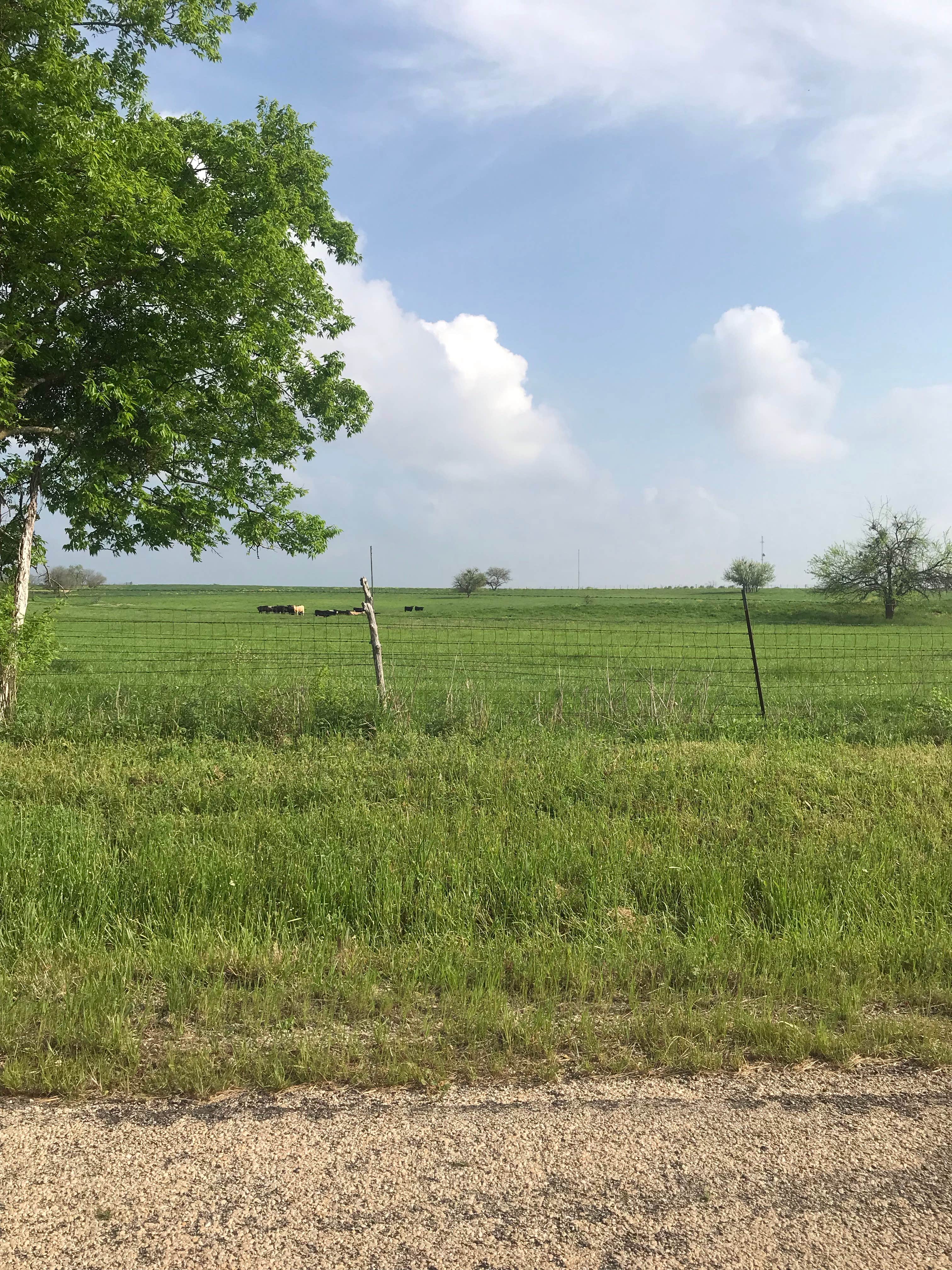 Camping near Desperado Resort: Wagon Wheel RV Park, Bulverde, Texas