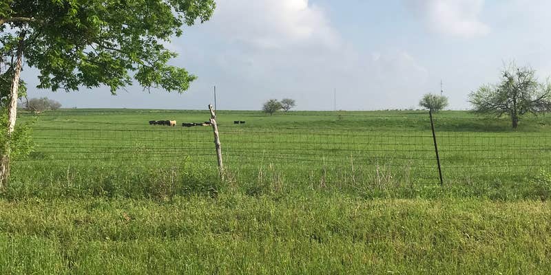 Camper submitted image from Wagon Wheel RV Park