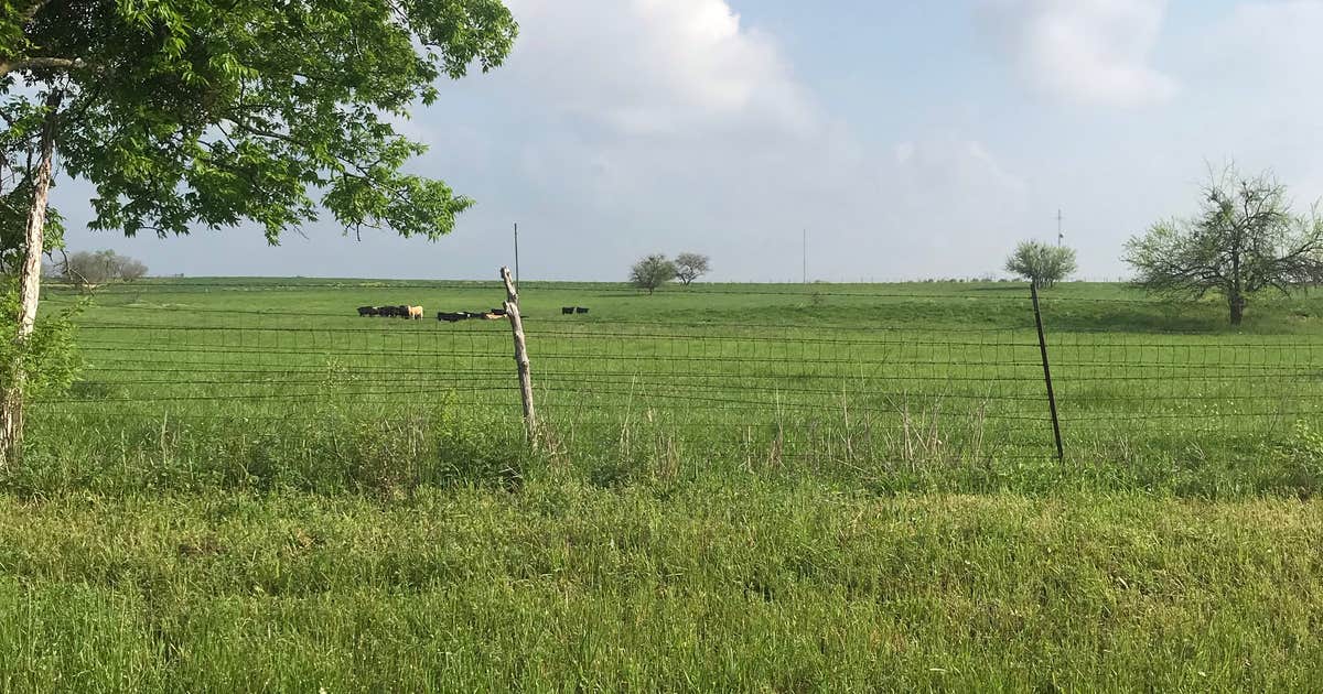 Wagon Wheel RV Park | Spring Branch, TX