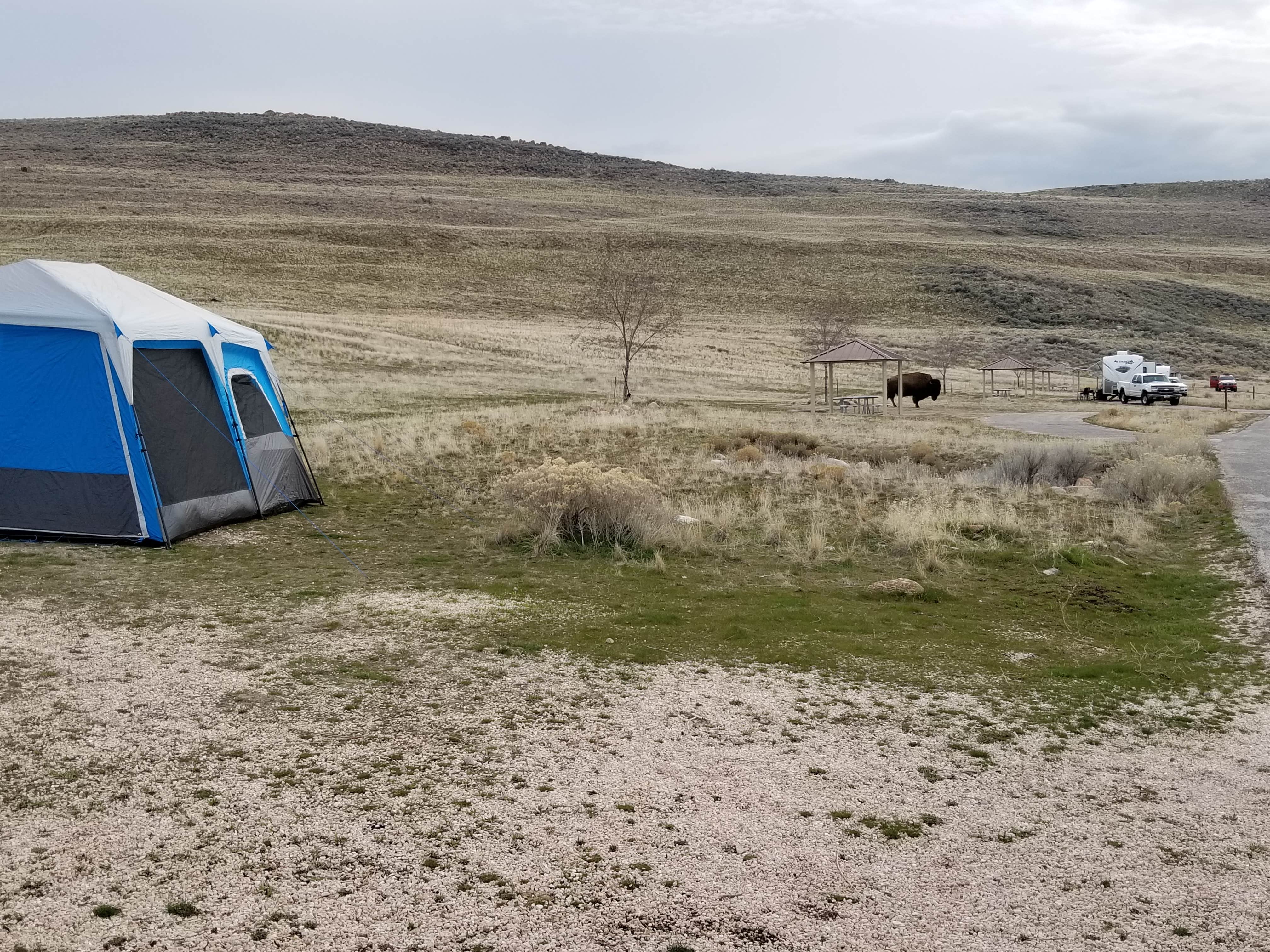 Camper submitted image from Bridger Bay Campground — Antelope Island State Park - 2