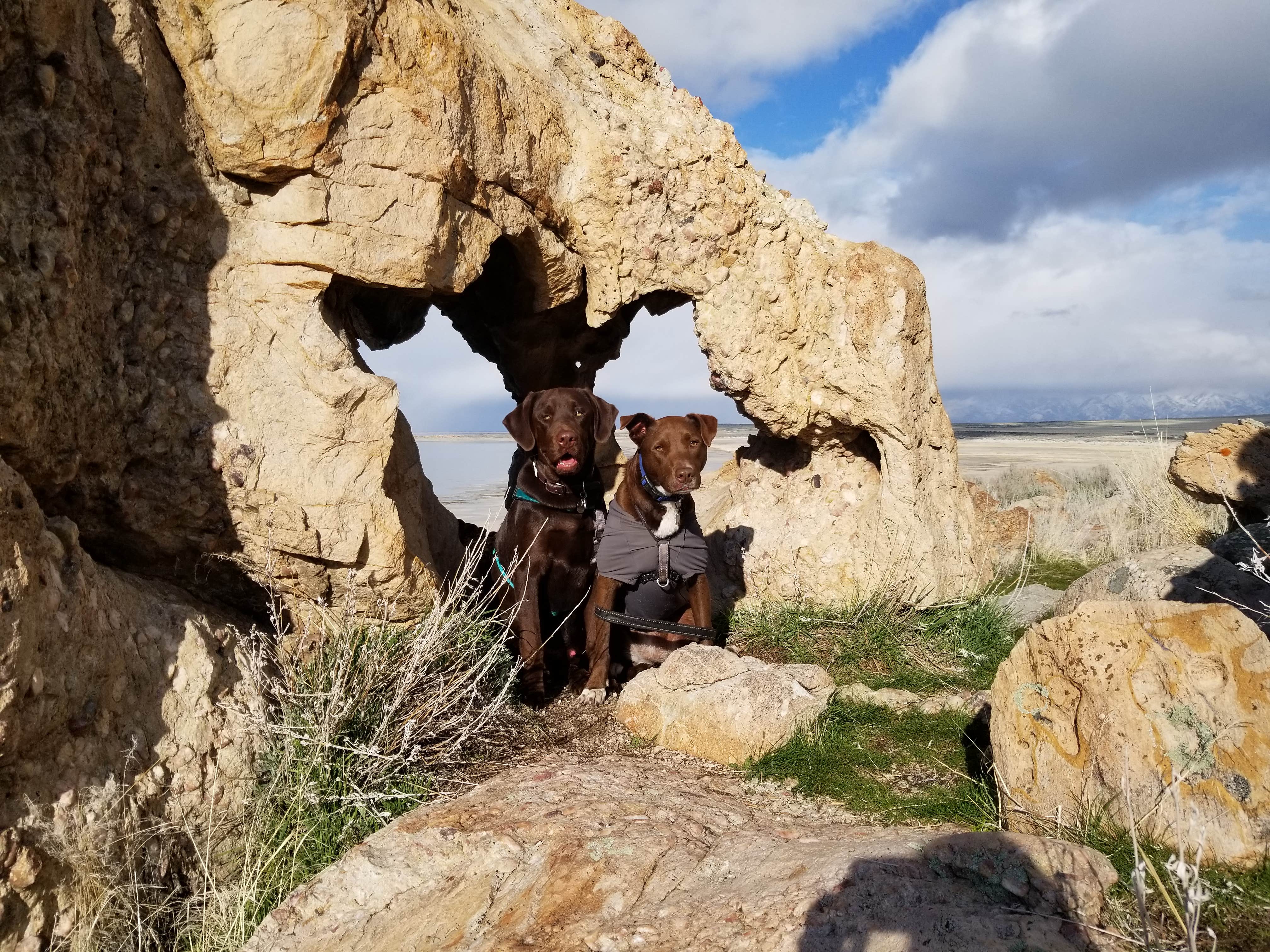Melissa K.'s photo of camping with pets at Bridger Bay Campground — Antelope Island State Park near West Valley City, UT