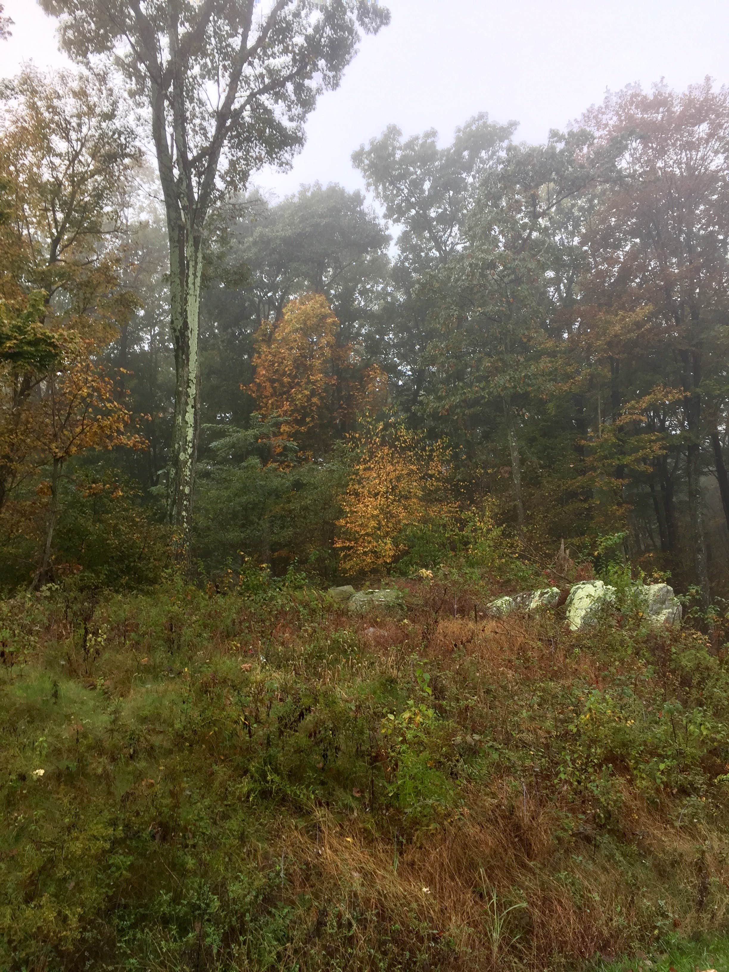 Camper-submitted photo at Woodlands Camping Resort near Carneys Point, NJ