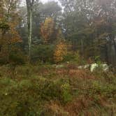 Review photo of Woodlands Camping Resort by Ella P., April 6, 2019
