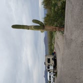 Review photo of Alamo Lake State Park Campground by Daniel K., April 6, 2019