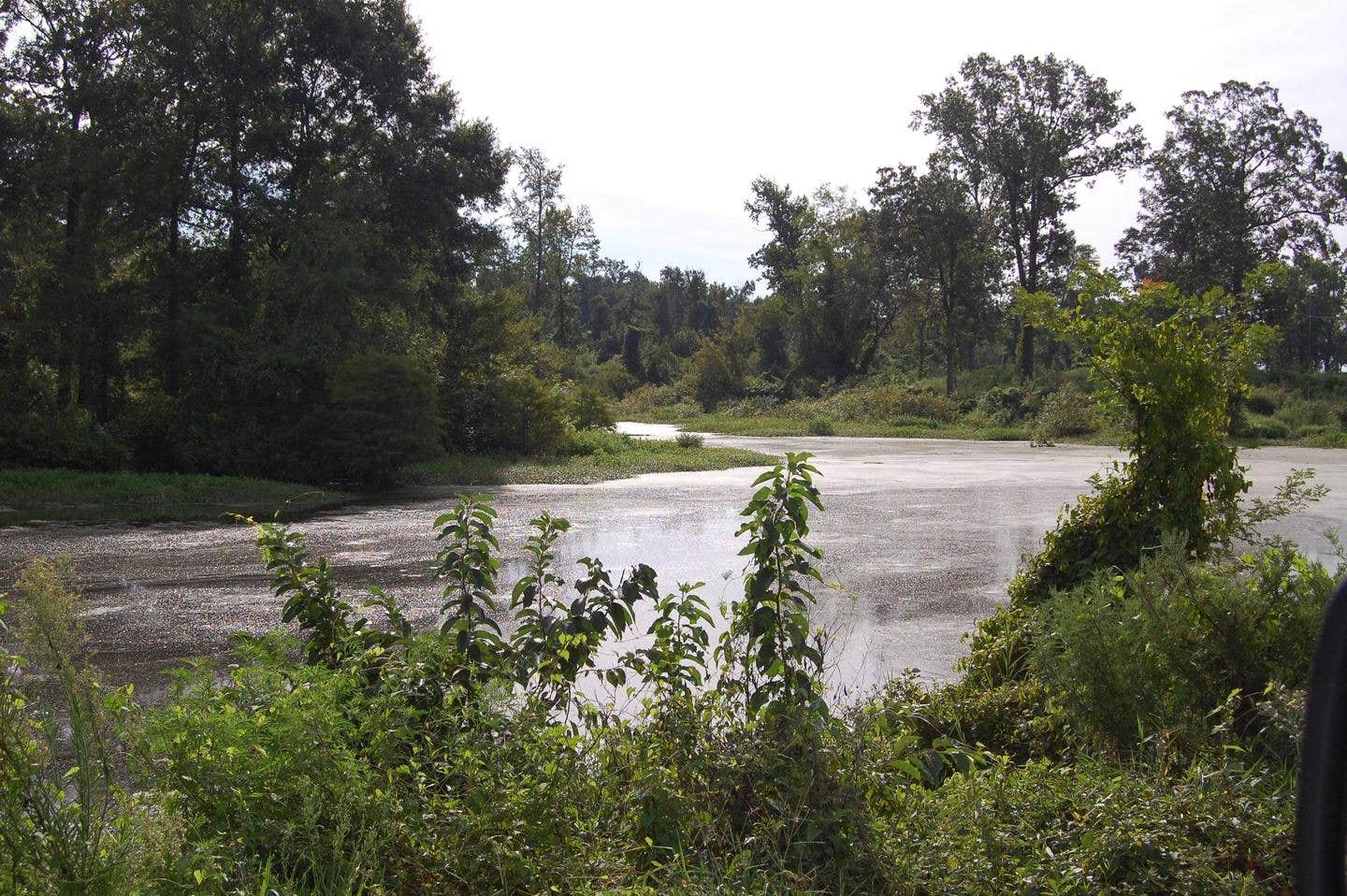 Camper submitted image from COE Millwood Lake Paraloma Park - 2