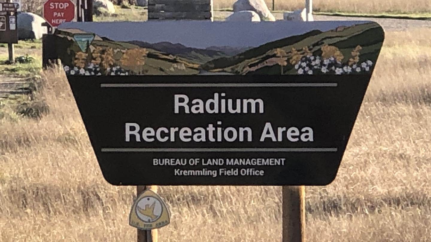 Camper submitted image from Radium Recreation Site - 3