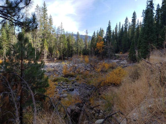 Camper submitted image from Ahart Campground - 1