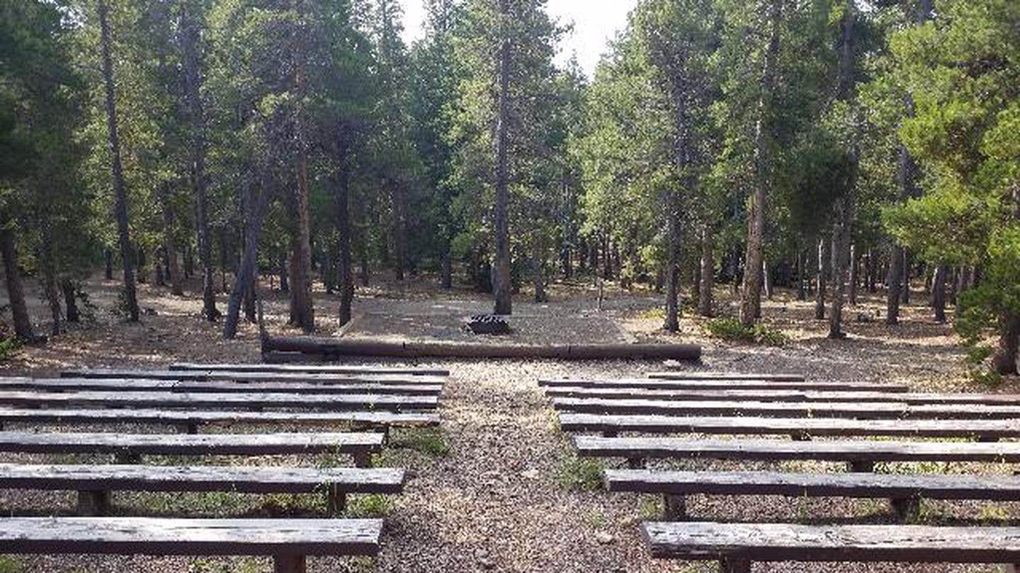 Camper submitted image from Pickle Gulch - 3