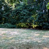 Review photo of Armitage Park & Campground - a Lane County Park by Brian C., August 30, 2018