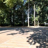 Review photo of Armitage Park & Campground - a Lane County Park by Brian C., August 30, 2018