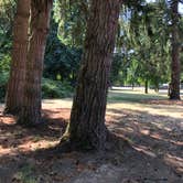 Review photo of Armitage Park & Campground - a Lane County Park by Brian C., August 30, 2018