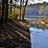 Review photo of Cliffs of the Neuse State Park Campground by Myron C., April 7, 2019