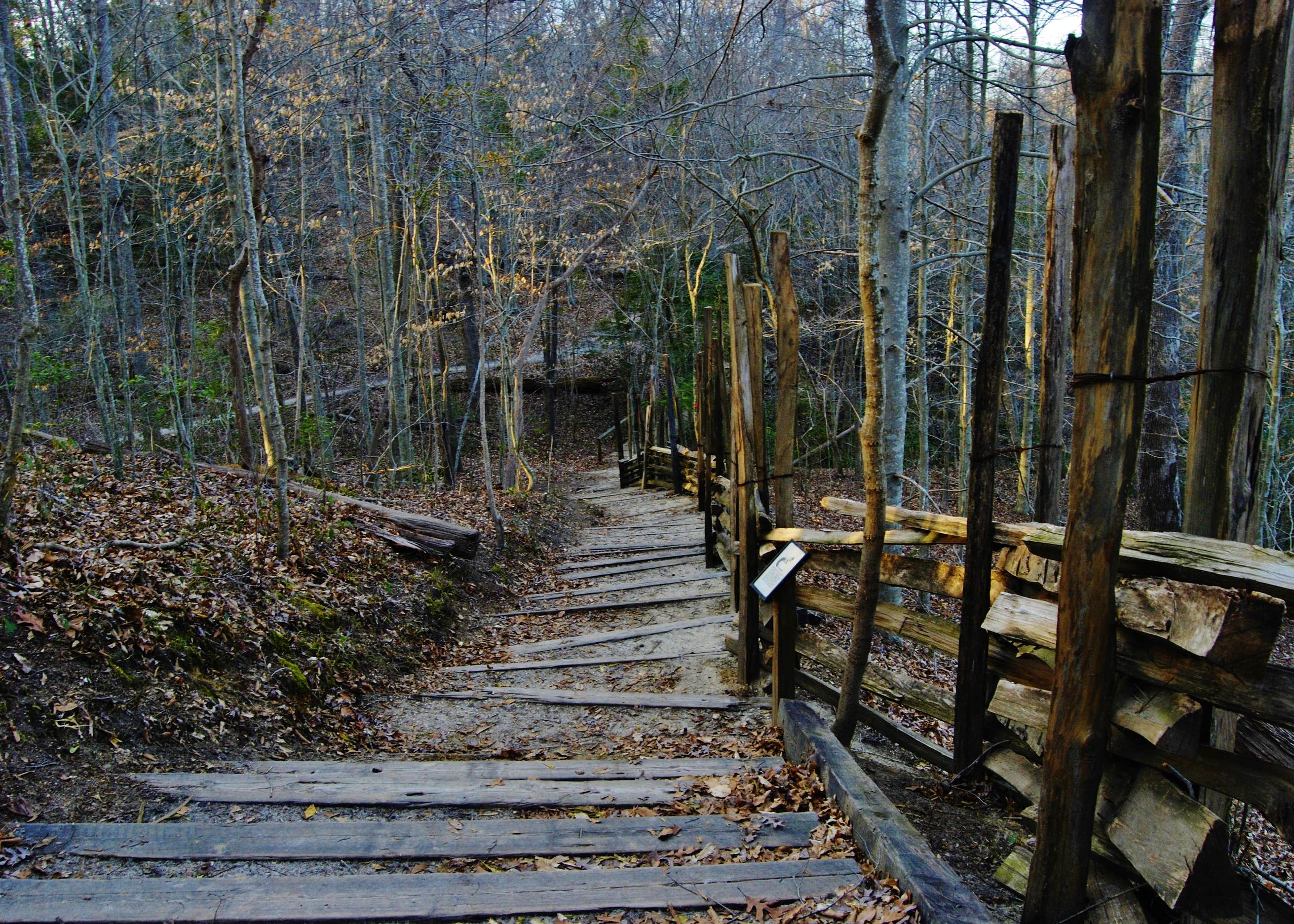 Cliffs of the Neuse State Park Camping The Dyrt