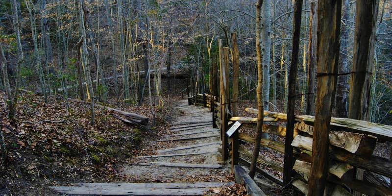 Camper submitted image from Cliffs of the Neuse State Park Campground