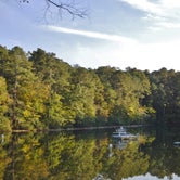 Review photo of Cliffs of the Neuse State Park Campground by Myron C., April 7, 2019