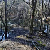 Review photo of Cliffs of the Neuse State Park Campground by Myron C., April 7, 2019