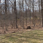 Review photo of Carter Caves State Resort Park by Lisa S., April 7, 2019