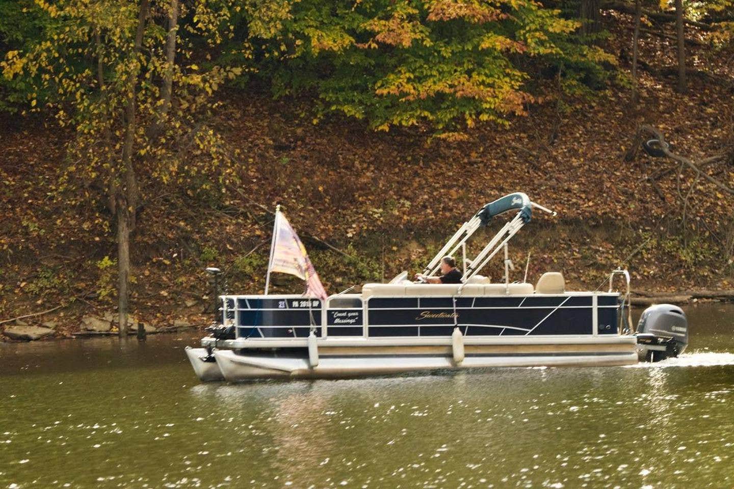Camper submitted image from Bush Recreation Area - 2