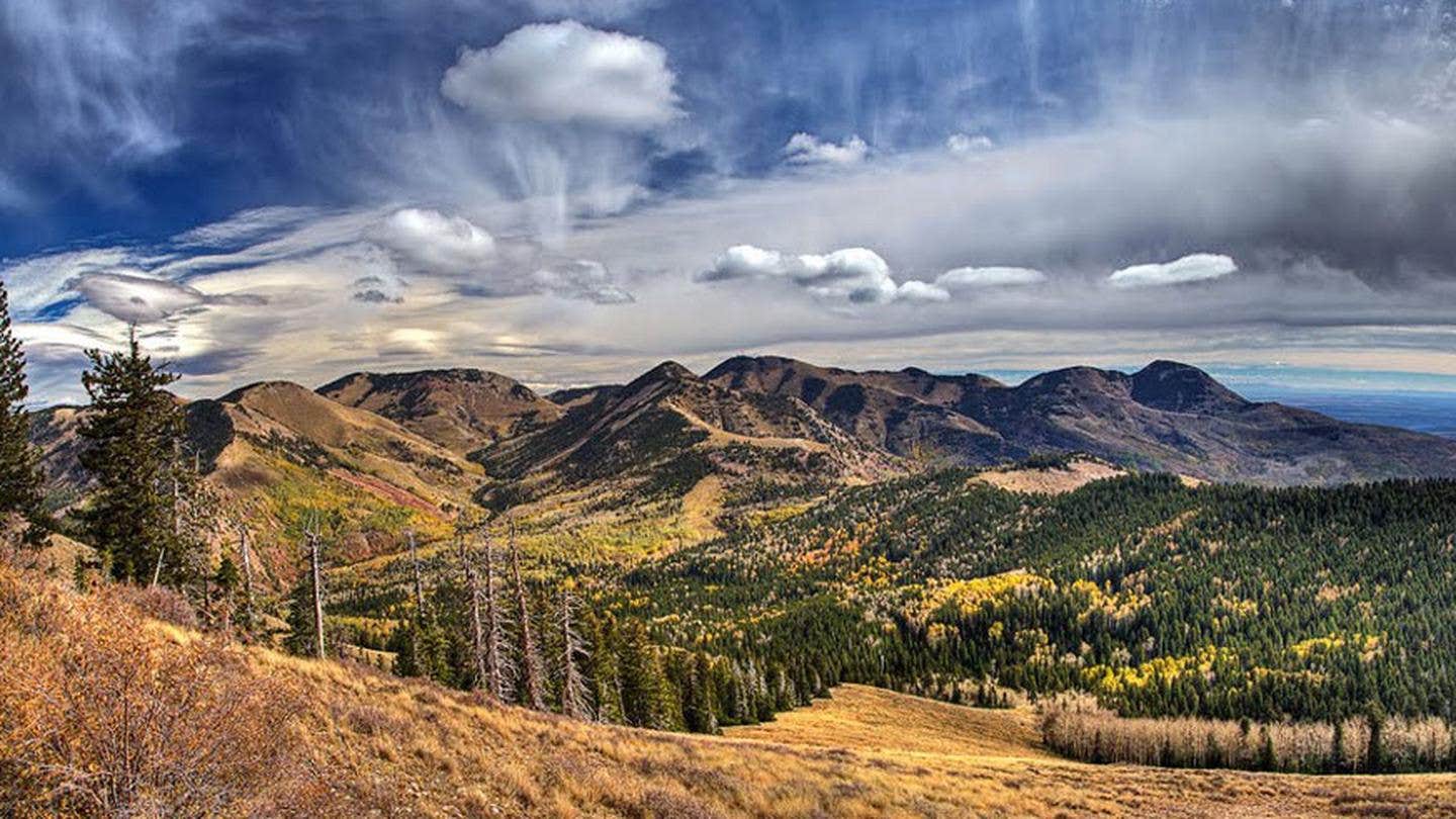 Camper submitted image from Manti-LaSal National Forest Nizhoni Campground - 5
