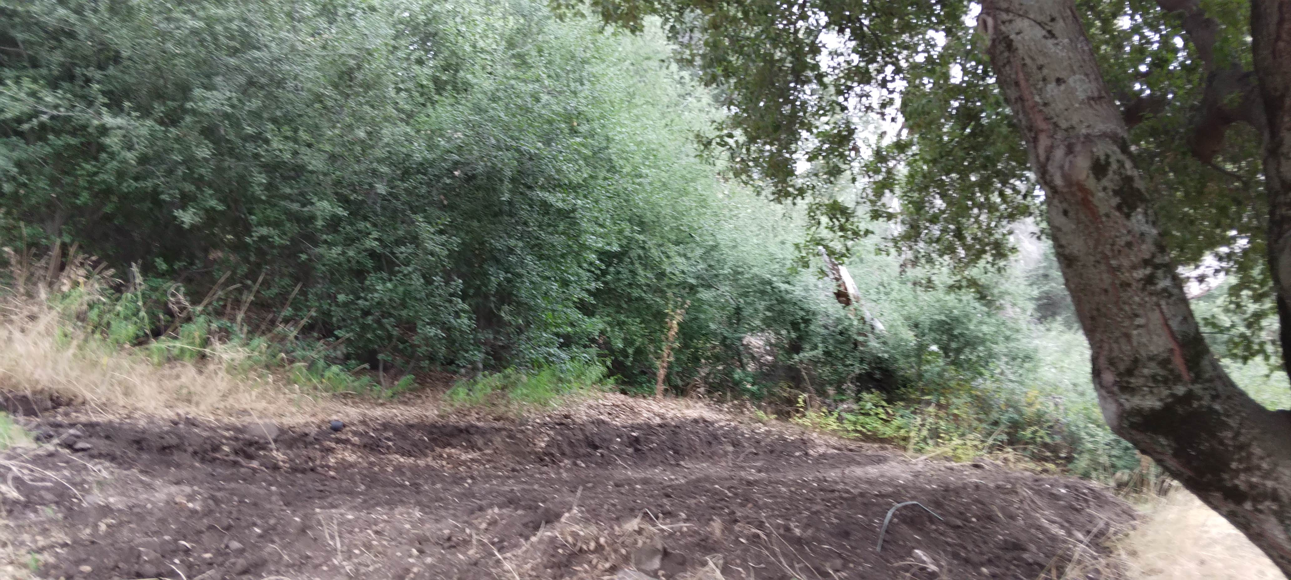 Camper-submitted photo at Julian Hideaway near Julian, CA