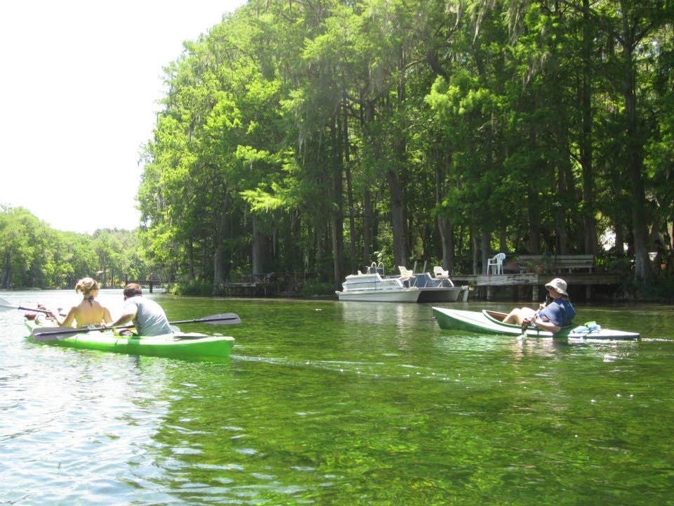 Camper submitted image from Rainbow Springs State Park Campground - 5