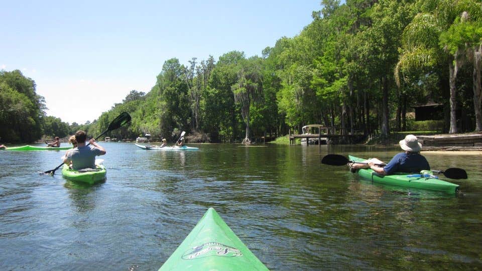Camper submitted image from Rainbow Springs State Park Campground - 4