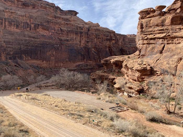 Camper submitted image from Hunter Canyon Campground - 4