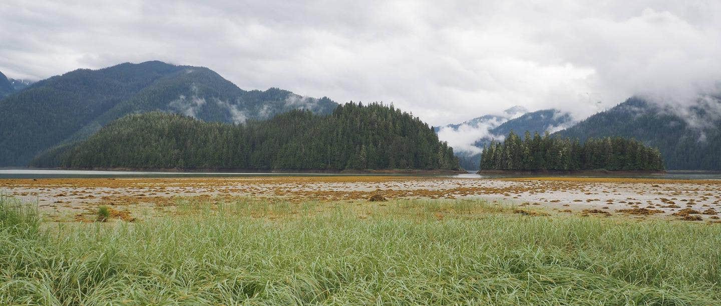 Camper submitted image from Harding River Cabin - 1