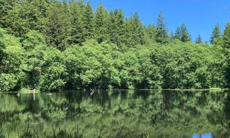 Camping near Rocky Bend Group Campground: Hebo Lake Campground, Beaver, Oregon