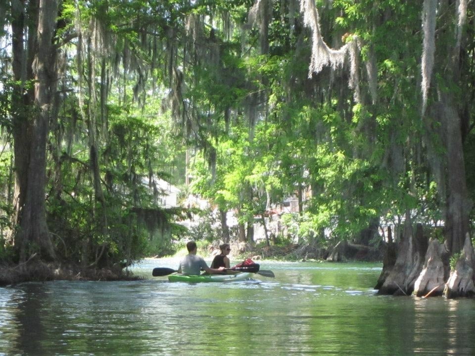 Camper submitted image from Rainbow Springs State Park - 2