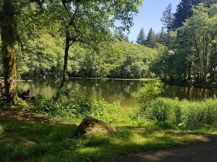 Camper submitted image from Hebo Lake Campground - 4