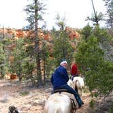 Review photo of North Campground — Bryce Canyon National Park by Christy K., July 25, 2015