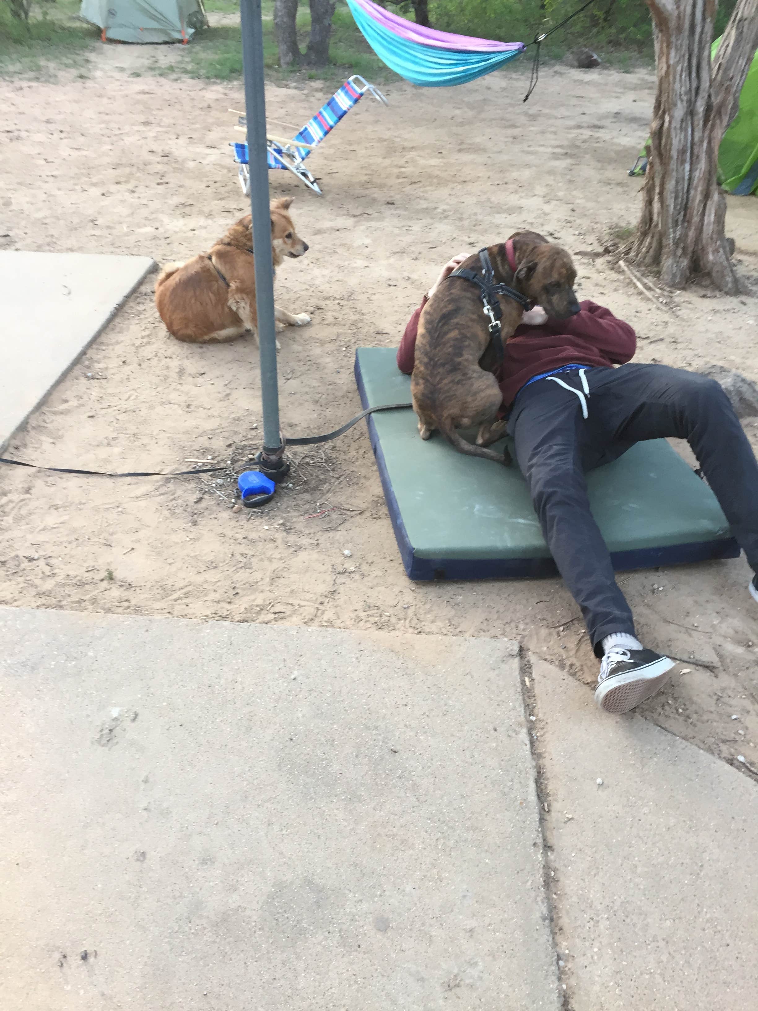 Kadyn D.'s photo of camping with pets at Cross Timbers — Lake Mineral Wells State Park near Newark, TX