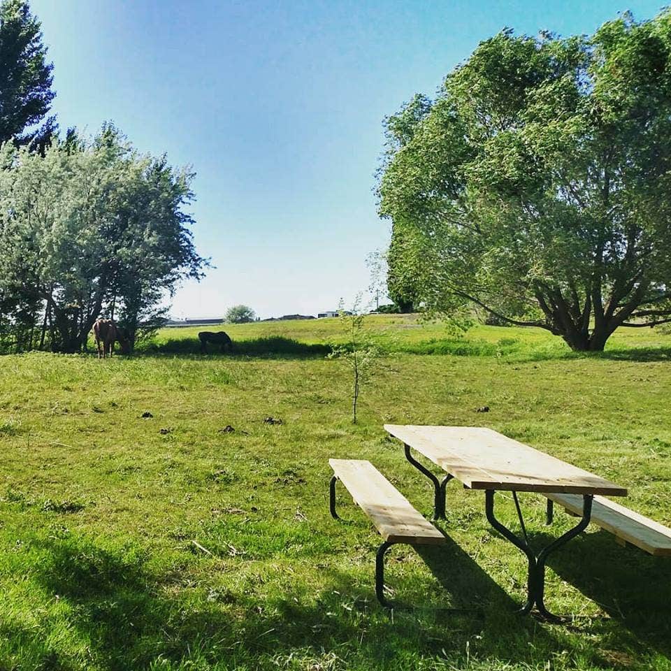 Camper submitted image from Willow Creek Retreat - 2