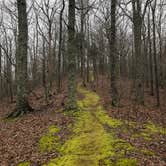 Review photo of Spring Creek Primitive Campground — Mousetail Landing State Park by Ryan M., April 8, 2019