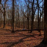 Review photo of Mammoth Cave Campground — Mammoth Cave National Park by Ryan M., April 8, 2019