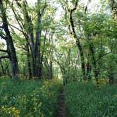 Review photo of Henry Horton State Park Campground by Ryan M., April 8, 2019