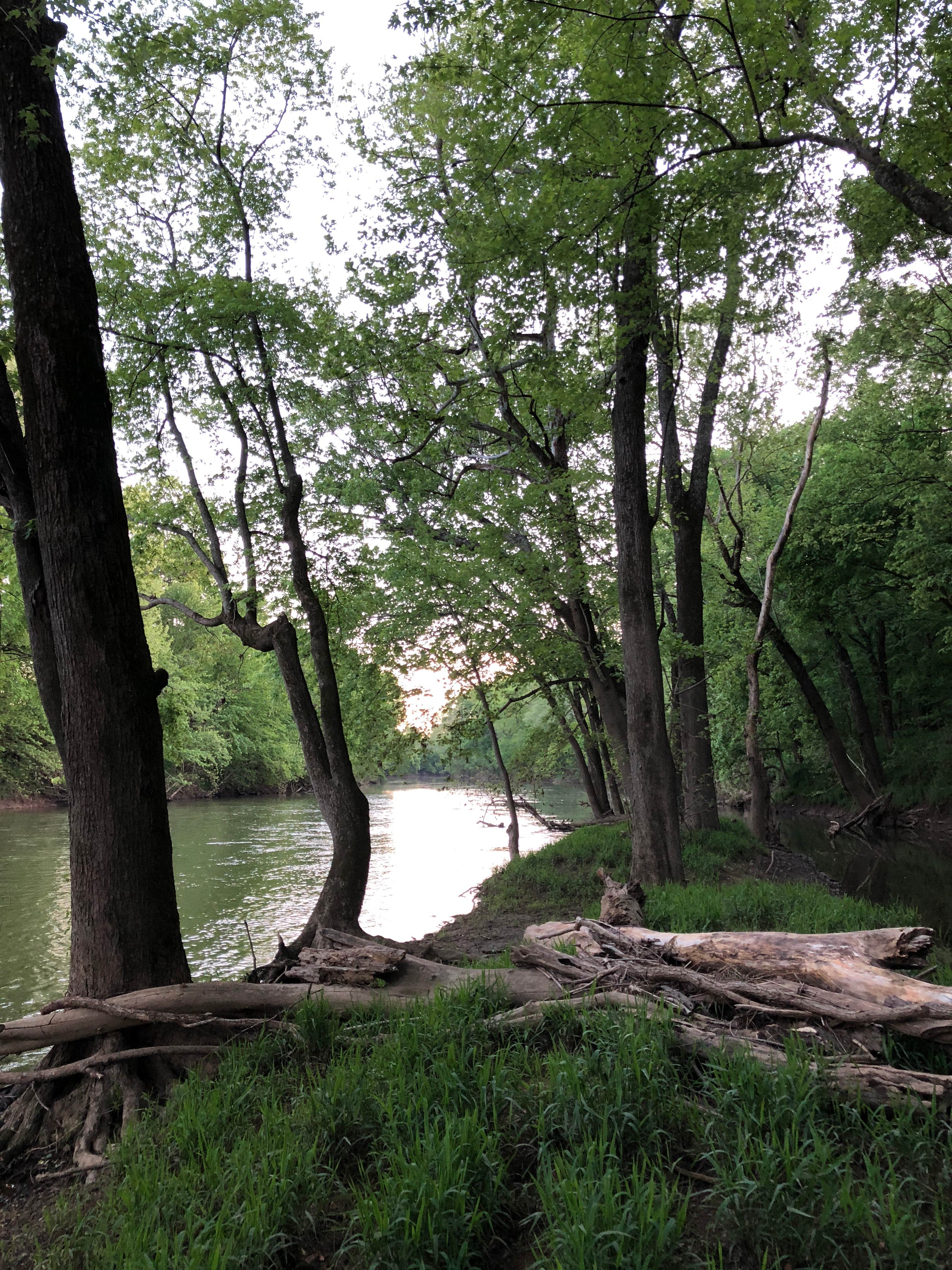 Camper submitted image from Henry Horton State Park Campground - 1