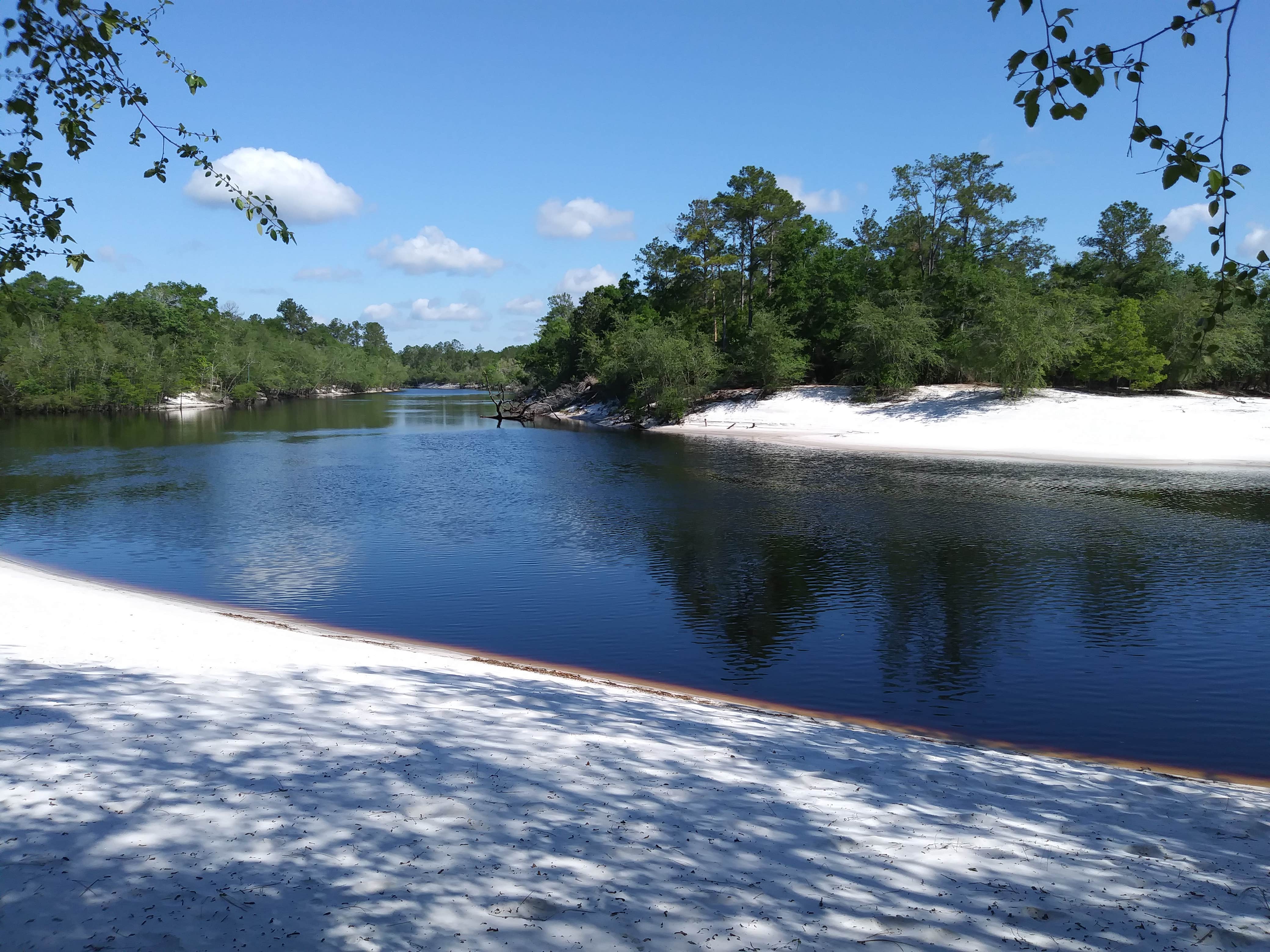 Camper-submitted photo at St Mary's Cove near Sanderson, FL